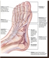 Treating Bone Spurs